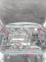 IMG_20210830_204210_2.jpg IMG_20210830_204210_2.jpg