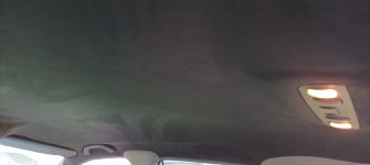 IMG_20220507_193913.jpg