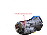 Gniazdo.jpg