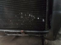 IMG_20220627_214428.jpg IMG_20220627_214428.jpg