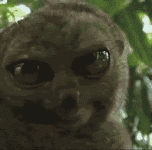 J3zQ.gif