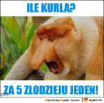 1661973912721.png