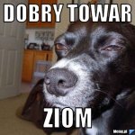 1ba3499308_dobry_towar.jpg
