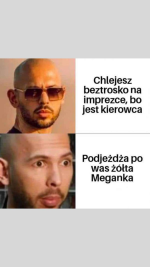 1692093528384.png