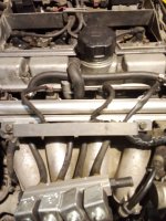 IMG_20231024_174328.jpg IMG_20231024_174328.jpg