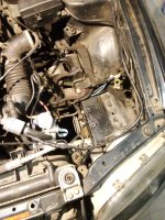 IMG_20231024_202625.jpg IMG_20231024_202625.jpg