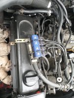 IMG_20231025_121028.jpg IMG_20231025_121028.jpg