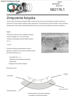 Zrzut ekranu 2023-12-30 185445.png