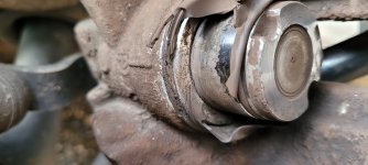 20240401_173515.jpg 20240401_173515.jpg