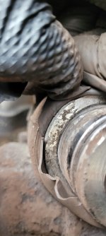 20240401_171334.jpg 20240401_171334.jpg