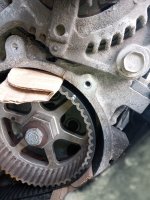 IMG_20240609_161320_445.jpg IMG_20240609_161320_445.jpg