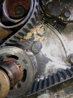 IMG_20240609_161253_012.jpg IMG_20240609_161253_012.jpg