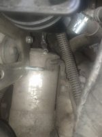 IMG_20240917_070708.jpg