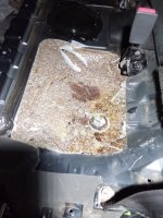 IMG_20250312_213810.jpg IMG_20250312_213810.jpg