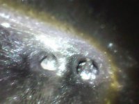 Photo_2025-03-24 10_13_35_096.JPG