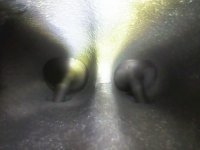 Photo_2025-03-28 10_45_48_271.JPG