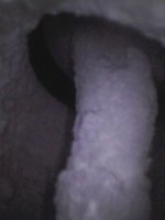 1fda601a-0259-4f8f-953f-5577e733684f (1).jpg