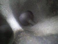 08e62183-6a51-4551-8722-791bc01d82a5.jpg