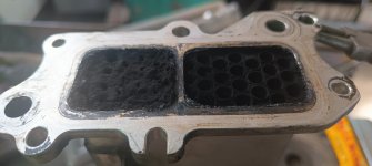 1000030183.jpg 1000030183.jpg