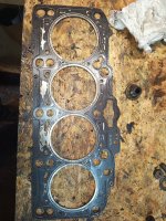 1000003229.jpg 1000003229.jpg