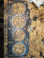 1000003230.jpg 1000003230.jpg