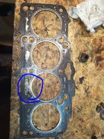 1000031041.jpg 1000031041.jpg