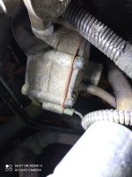 IMG_20260616_180156.jpg