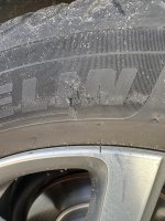 IMG_8522.jpeg