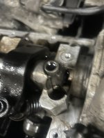 IMG_2577.jpeg