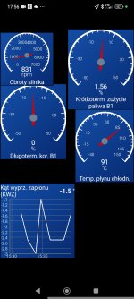 Screenshot_2026-09-01-17-56-15-817_com.ovz.carscanner.jpg