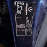 IMG_20261025_090546_468.jpg