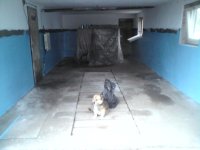 DSC01145.JPG