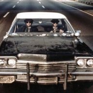 roadrunner