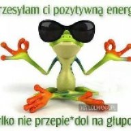 Kermit25