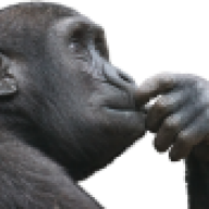 Niedziela