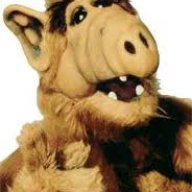 Alf1977