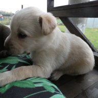 Mariusz Jeep Cherokee