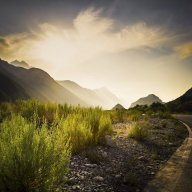 Zdzisław1963