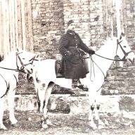 Marek1955