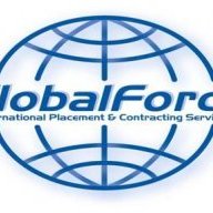GlobalForce