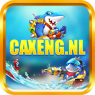 CAXENG nl
