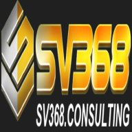 sv368consulting