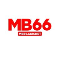 mb66cricket
