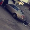 barti3829