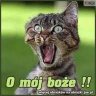 maniek.2