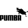 Pumba1990