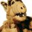 Alf1977