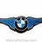 wolf bmw