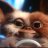 gizmo84